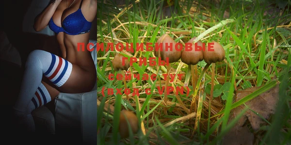 Альфа ПВП Нефтегорск