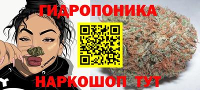 индика Волгодонск