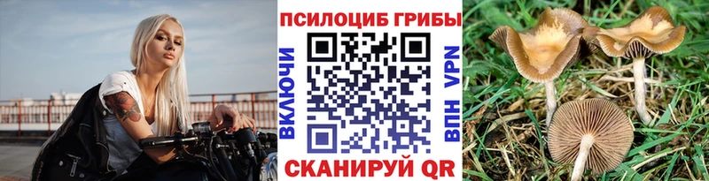 купить закладку omg ТОР Галлюциногенные грибы GOLDEN TEACHER Железноводск
