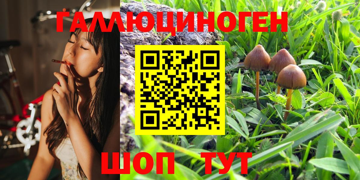 Псилоцибиновые грибы GOLDEN TEACHER Железноводск