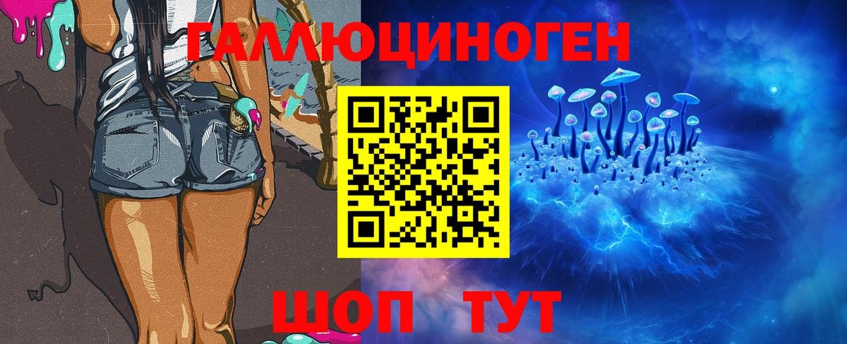 Псилоцибиновые грибы Cubensis  Железноводск  Псилоцибиновые грибы GOLDEN TEACHER 